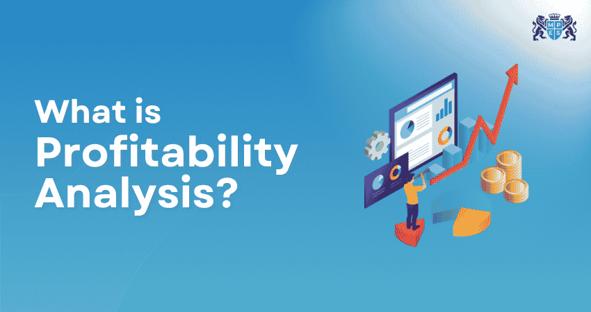 What is Profitability Analysis