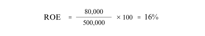 Calculation Example of ROE
